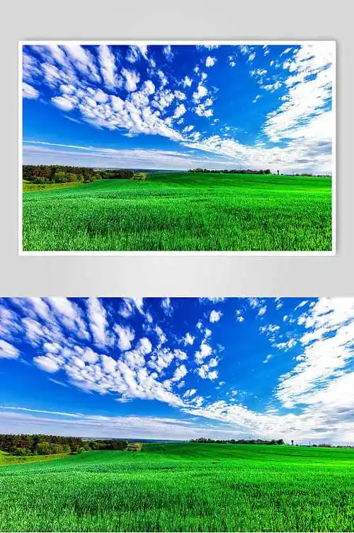 时尚蓝天白云草原草地风景摄影高清图片