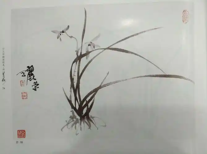 周老师国画入门*兰花第二课时