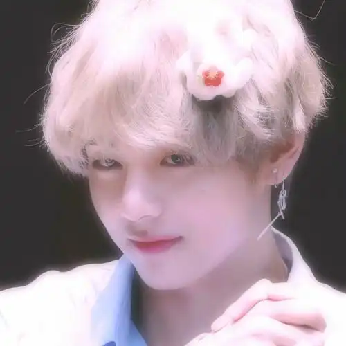 防弹少年团/金泰亨/男爱豆头像/素质拿图/喜欢收藏专辑/bydeひつじer