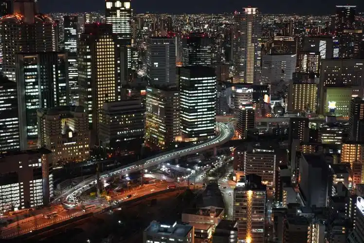 观赏大阪市夜景