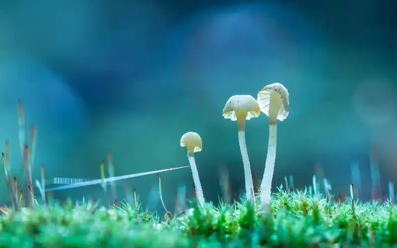 简单唯美非主流ppt背景图,非主流-回车桌面