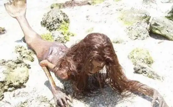 美人鱼真身吓人图片,恐怖的黑鳞鲛人(最爱吃人肉)