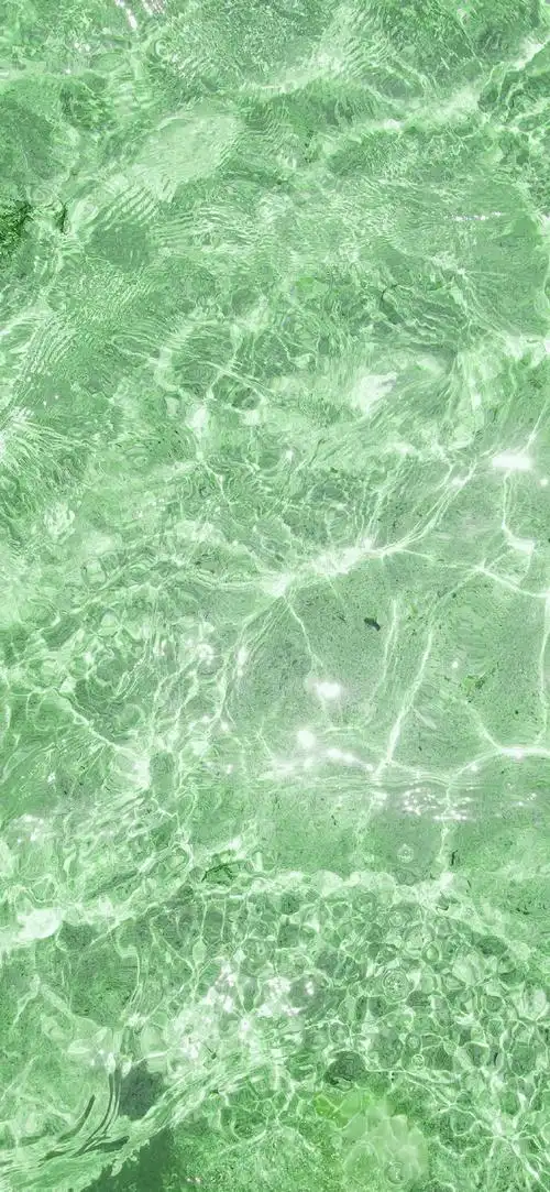 粉丝心愿422 绿色 壁纸  后边有几张水的图,很舒服!