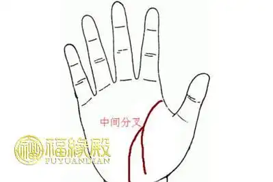 生命线中途分叉会发生什么