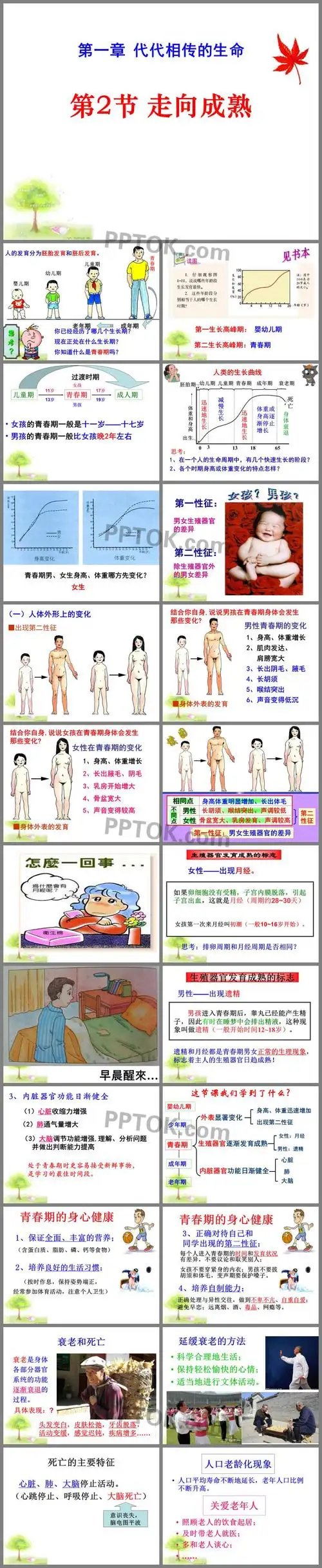 ppt课件下载,主要介绍了人体外形上的变化,生殖器官发育成熟的标志