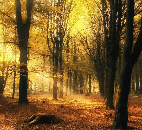 让人心灵平静的美图38p