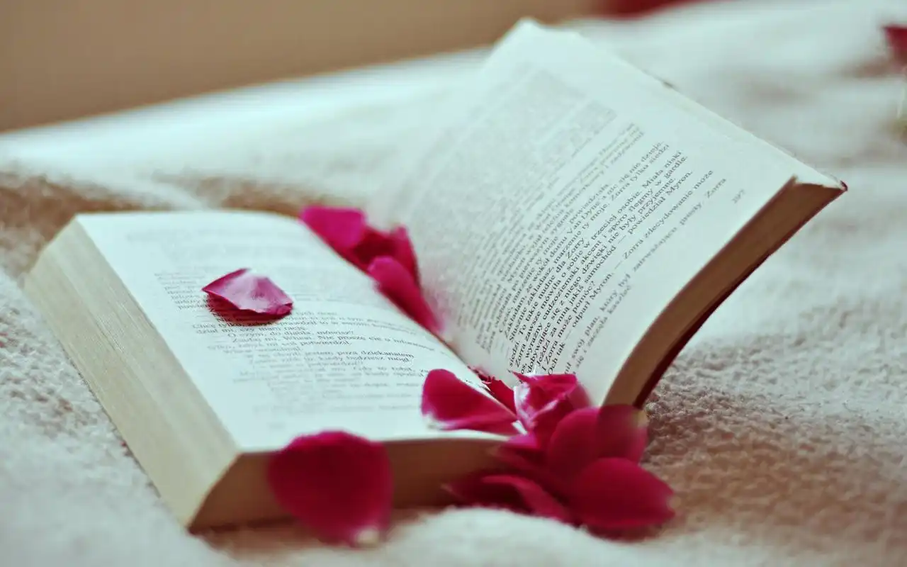 唯美又有意境的书本图片桌面壁纸,简约干净的书本,唯美又富有意境,让