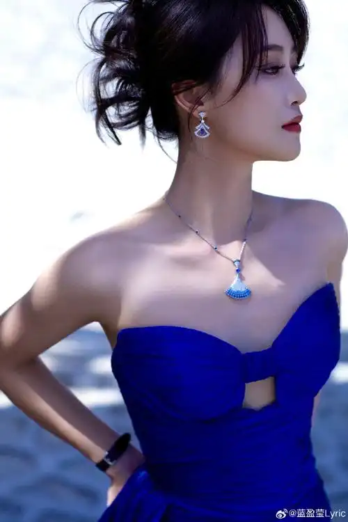 蓝盈莹我的电子枸杞