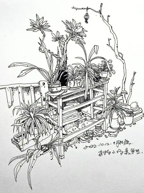 风景速写小场景练习杂物花草