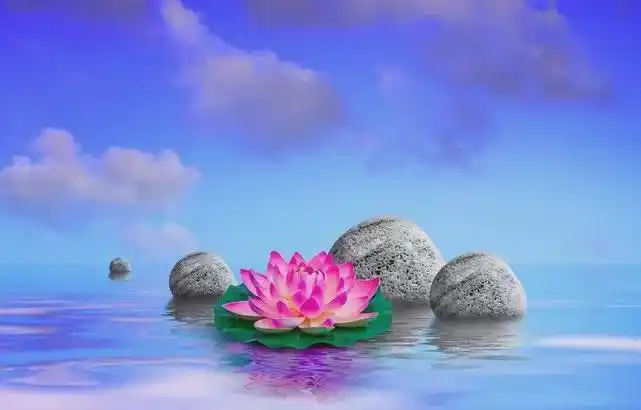 大安法师:极乐世界的菩萨,在这个世间的示现