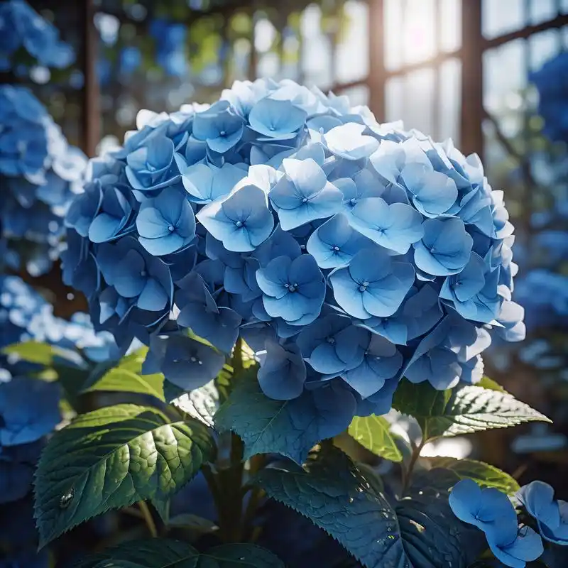 94唯美花卉微信头像94 亲们,是不是想用美美的花卉图片作为微信