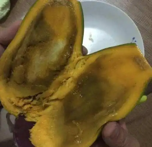 血好好的芒果,怎么切开全坏了?全部切开后直接懵逼了