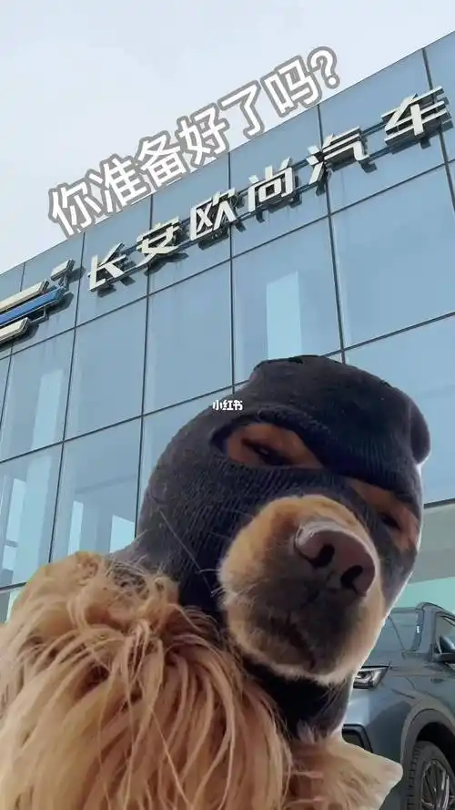 日常沙雕   #欧尚汽车