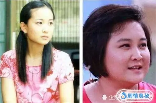 韩红少女时的旧照曝光,天生丽质颜值很高,网友:有点撞脸贾玲!