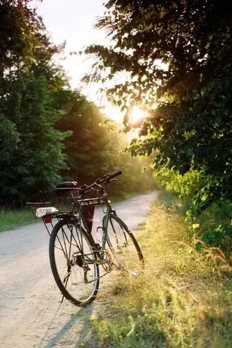 港中:旧时光里的回忆