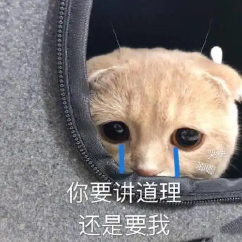 跟男朋友撒娇说想你了跟男朋友撒娇表情包