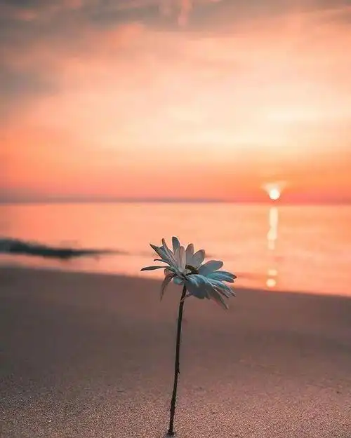 睡前干净走心的人生感悟金句