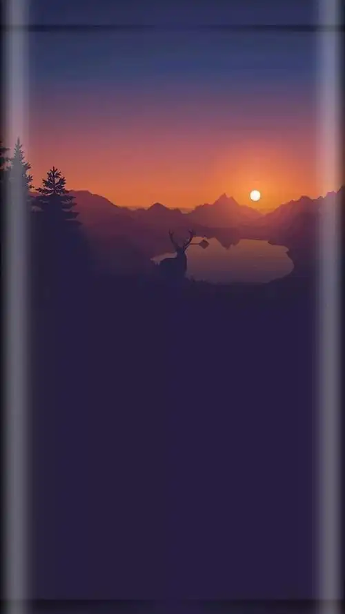 全网最新曲面屏壁纸!