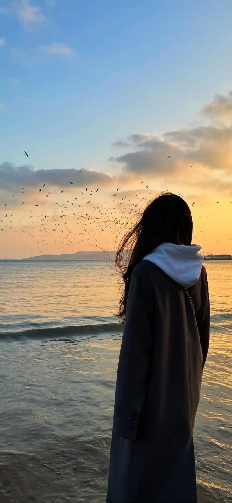 向上的生命力 比皮囊更有杀伤力 #氛围感 #日落 #海鸥 # - 抖音