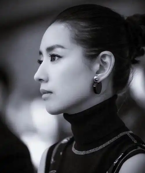 明星鼻子侧颜 鼻子长得好,颜值差不了,9位女星侧颜照,没有对比就没有