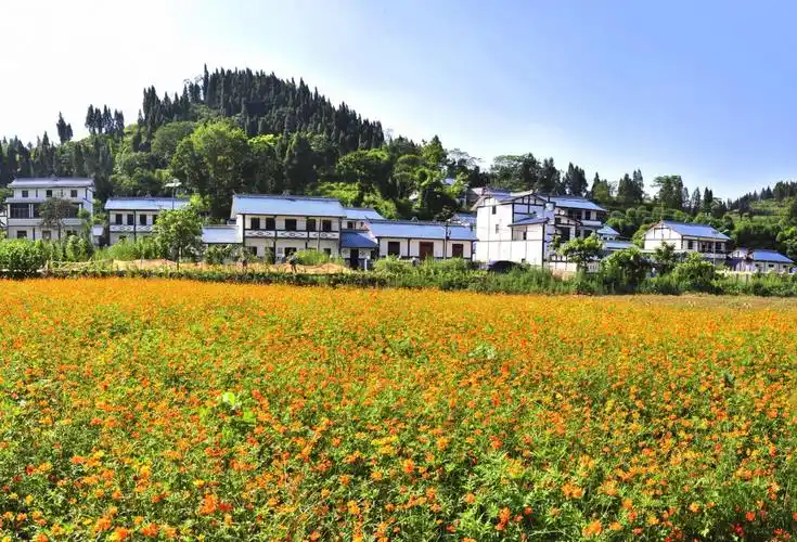 美丽宜居乡村重庆市潼南区柏梓镇郭坡村