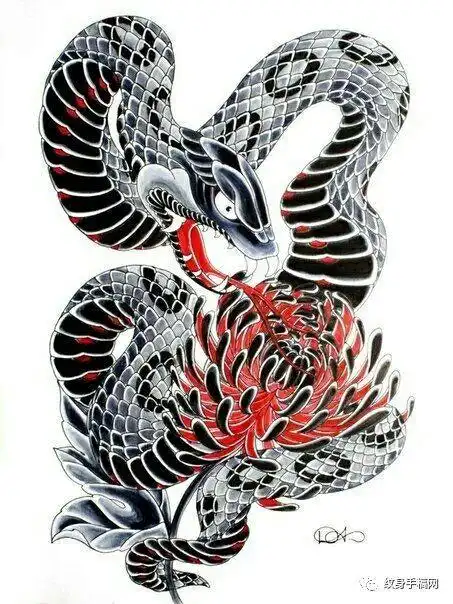 蛇手稿纹身大集合150张2