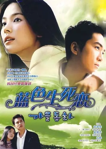 网络时代de韩流 这回不一样