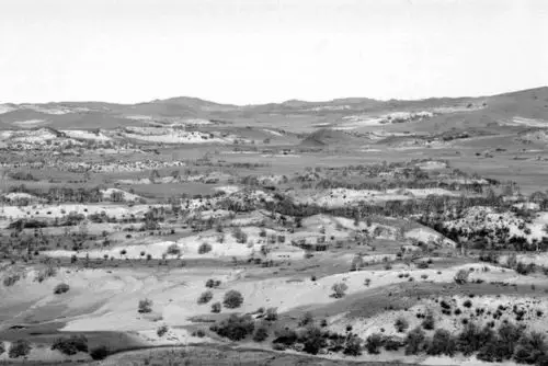 《美丽的塞罕坝》 最纯朴女中音刘子琪倾情演绎《塞罕坝》主题曲