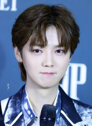 鹿晗出席活动现场造型,身穿alexander mcqueen 2021 春夏系列水墨印花