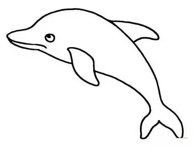 简笔画一起来动手画画看吧所有小动物简笔画大全超简单的各种动物画法