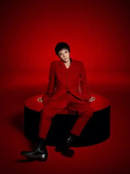 华晨宇2020年演唱会未曝光海报