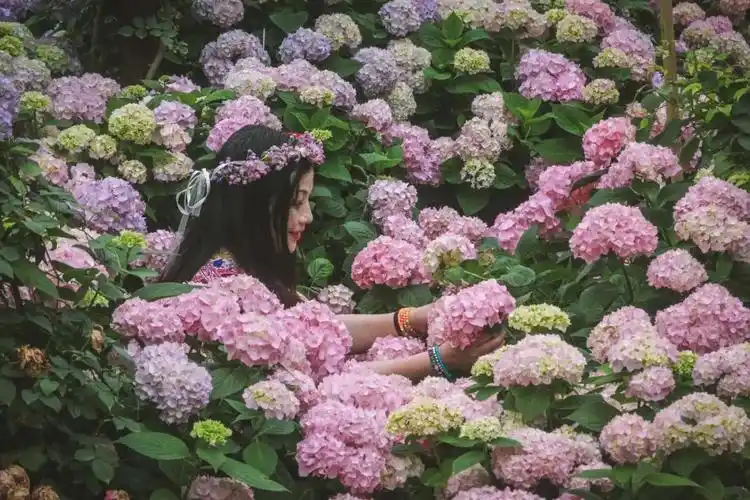 成都隐藏的小众打卡地!颜值逼格满分,第一个分分钟刷爆朋友圈!