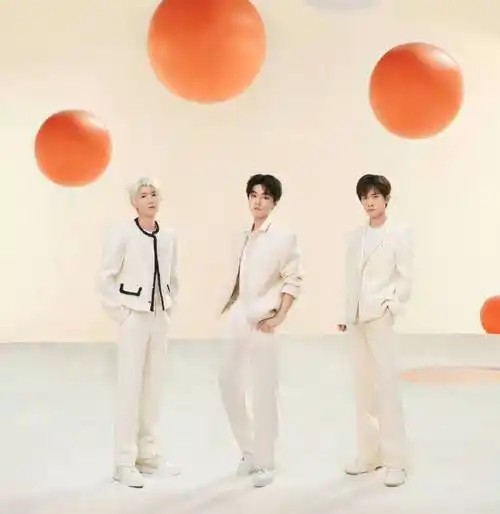 王俊凯_王源_公司