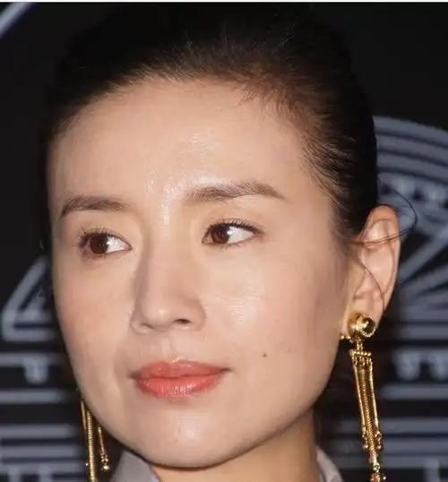 董洁着素色拼接连衣裙配金色耳饰亮相活动,气质爆表