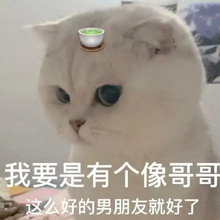 我要是有个像哥哥这么好的男朋友就好了(猫咪绿茶婊表情包)_猫咪_有个
