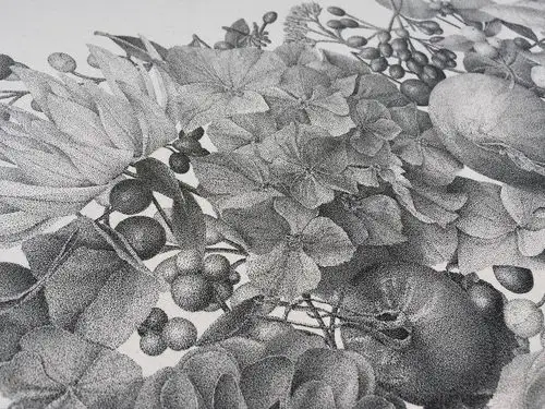 用针管笔点绘 | 法国画家 xavier casalta