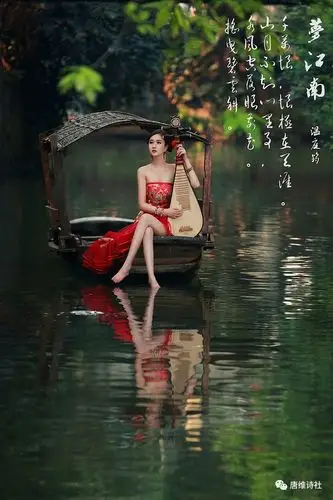 烟雨深情的遥望氤氲在多情的雨巷一阙词章拉开梦的遐想一树花香在江南