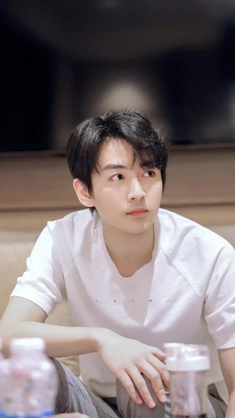 精美图集|陈晓帅气写真