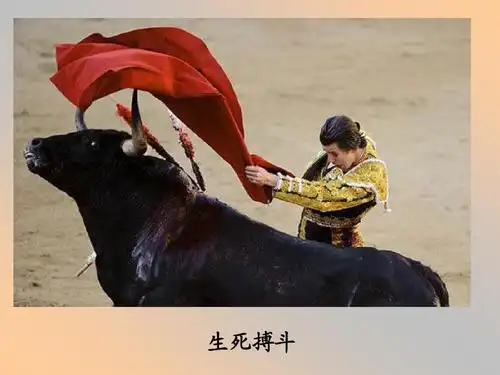 西班牙的斗牛活动ppt
