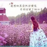 女孩拥抱薰衣草花海头像_微信头像图片大全