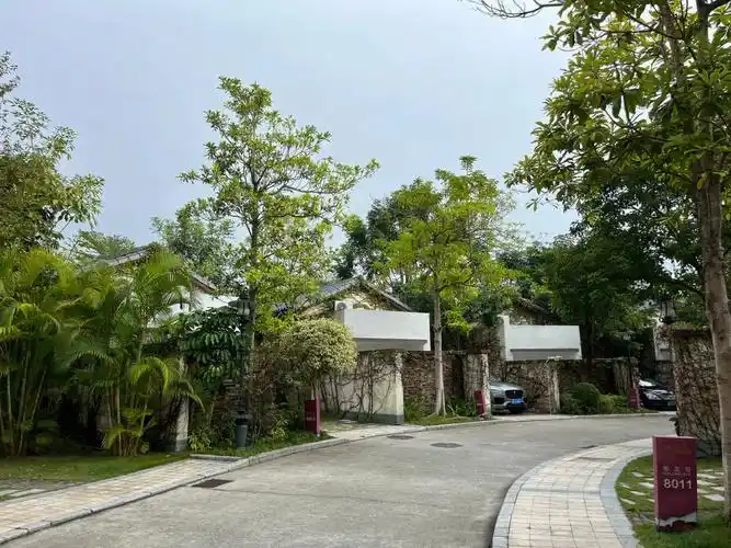 周末好去处90深汕合作区水底山温泉庄园