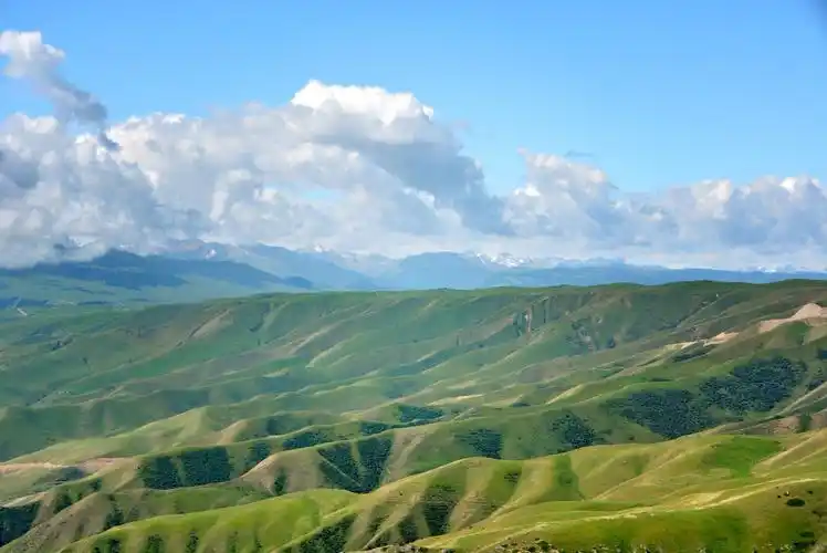 天山山地草甸草原最典型的代表,喀拉峻.