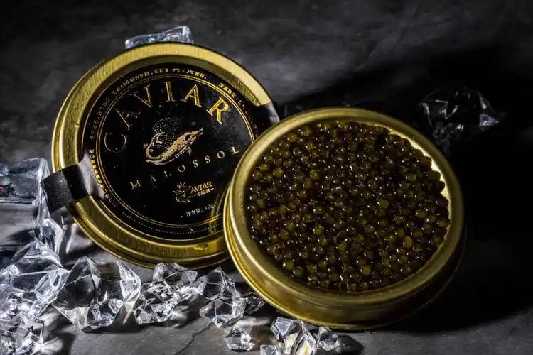 【展商推荐】清江鲟龙渔业:卡维尔61鱼子酱 "鲟"味自然_公司_中国