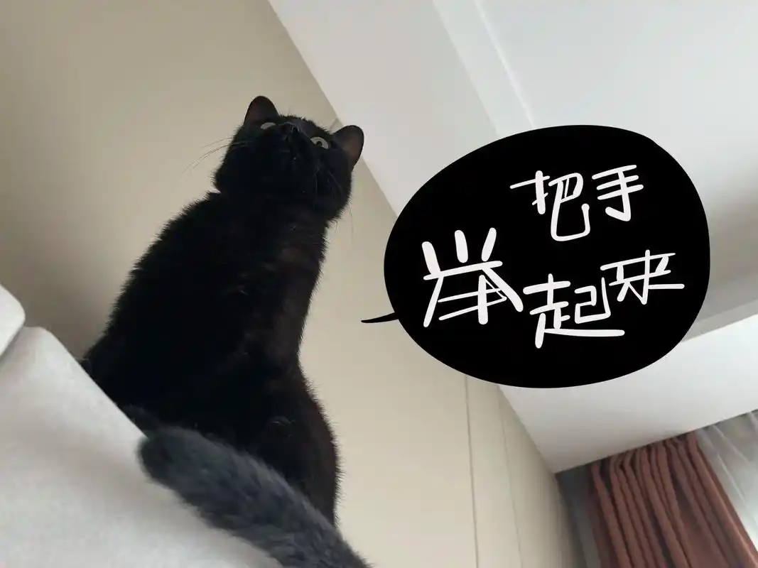 把手举起来!玩命瞎画系列#procreate绘画 #日常瞎画 - 抖音