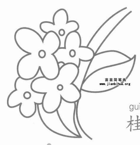 桂花简笔画儿童画桂花树简笔画画法简笔画大全桂花简笔画图片大全2