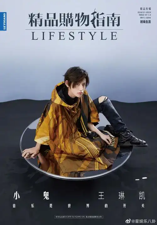 小鬼王琳凯&《精品购物指南》四月刊封面大片公开_高清图集_新浪网