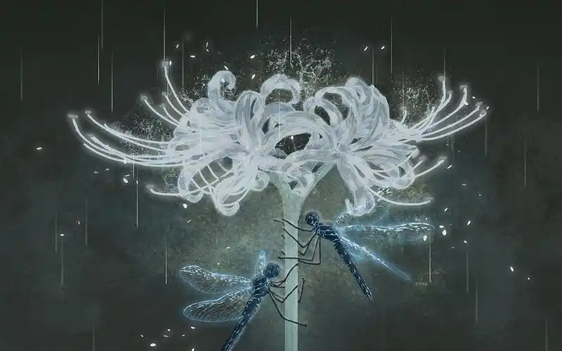 活动  【古风板绘】白色彼岸花的伪过程,有讲解