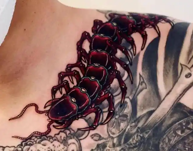 五毒之一的蜈蚣纹身