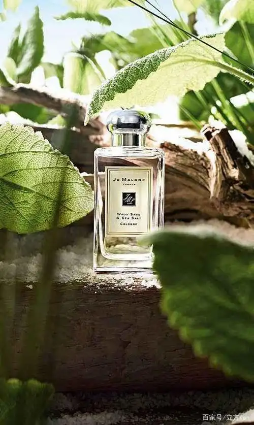 祖马龙鼠尾草与海盐.