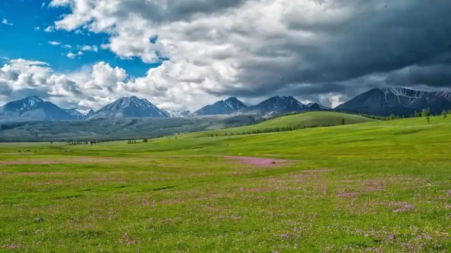 绿色草甸草原养眼风景图片7